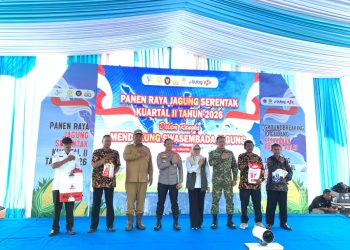 Panen Raya Jagung Serentak Kuartal II di Lampung Tengah Dukung Ketahanan Pangan Nasional